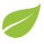 hoja